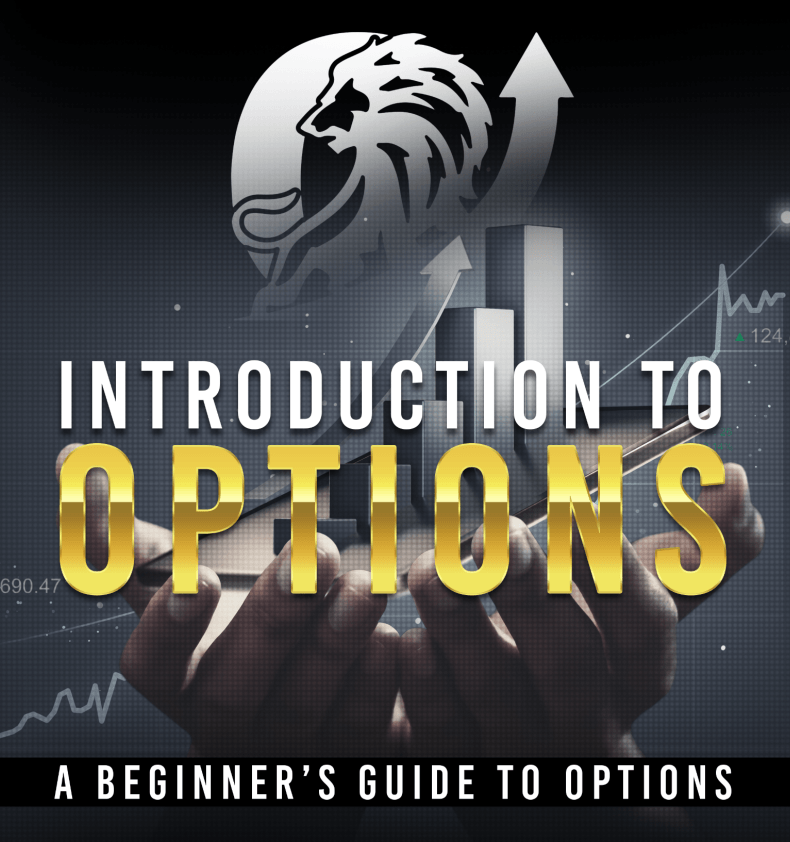 Trading Alphas Beginners Guide to Options Trading
